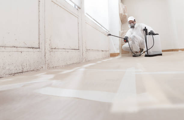 24/7 Emergency Basement Mold Remediation experts in Jefferson, OR
